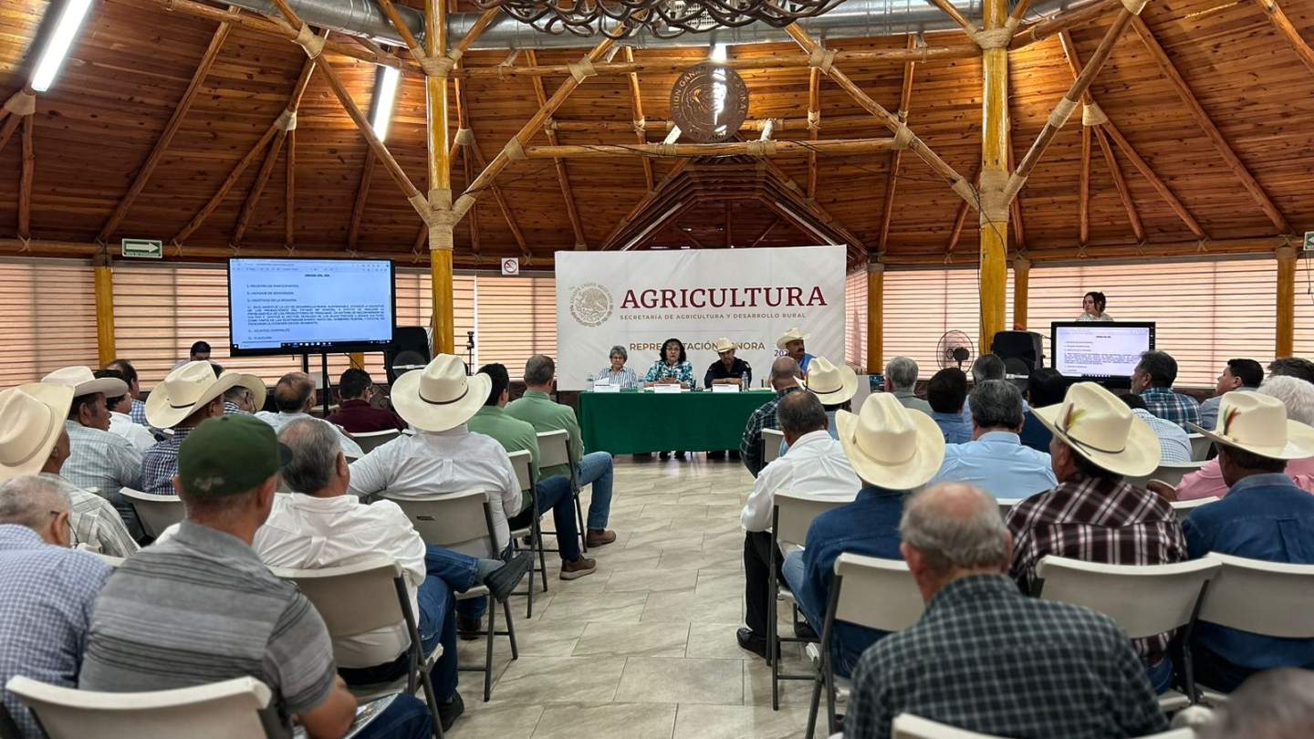 Trabaja Gobierno de Sonora en reconversión de cultivo y apoyos para productores de Sonora